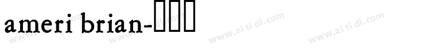 ameri brian字体转换